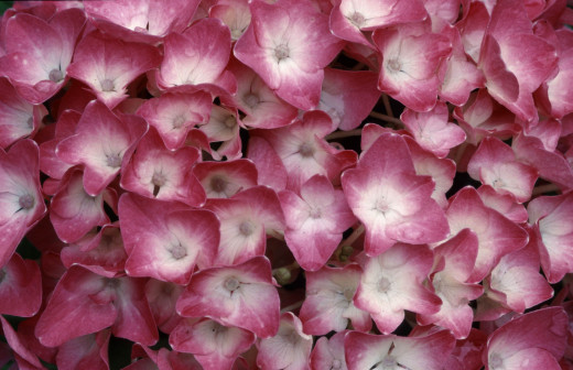 613654 (a): :2560x1652
